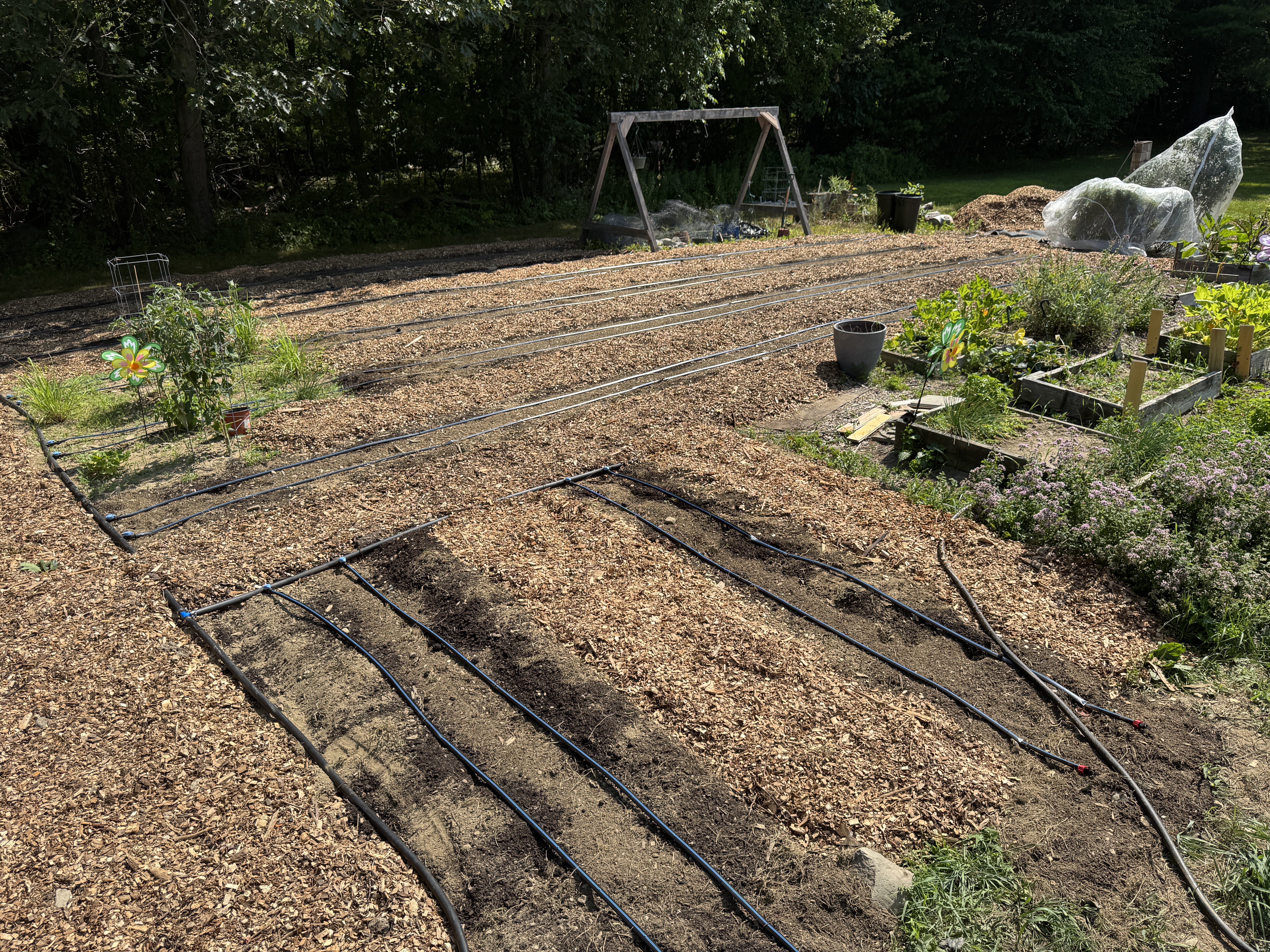 Drip irrigation system layout in mulched garden beds — farm water management by GSS