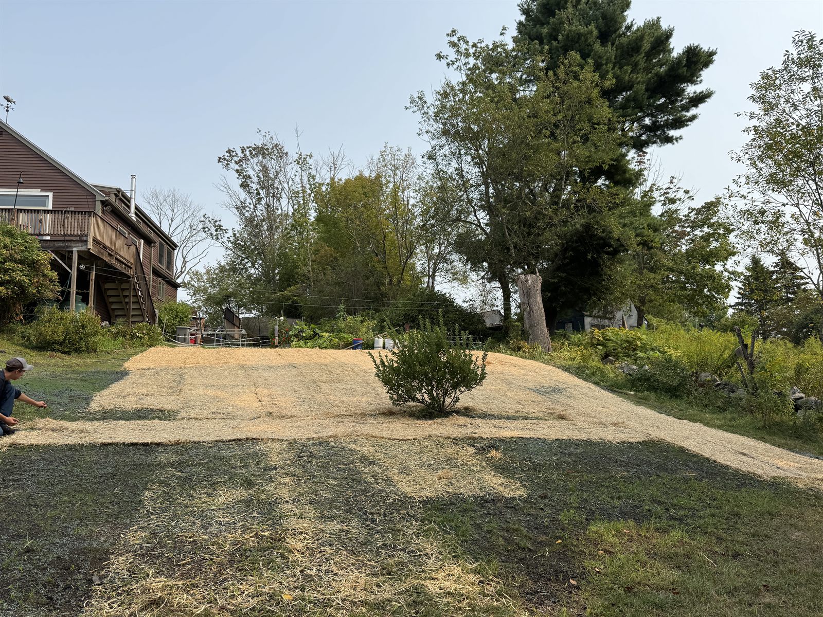 Hydroseed and straw mulch protecting a newly seeded lawn — GSS, New Hampshire