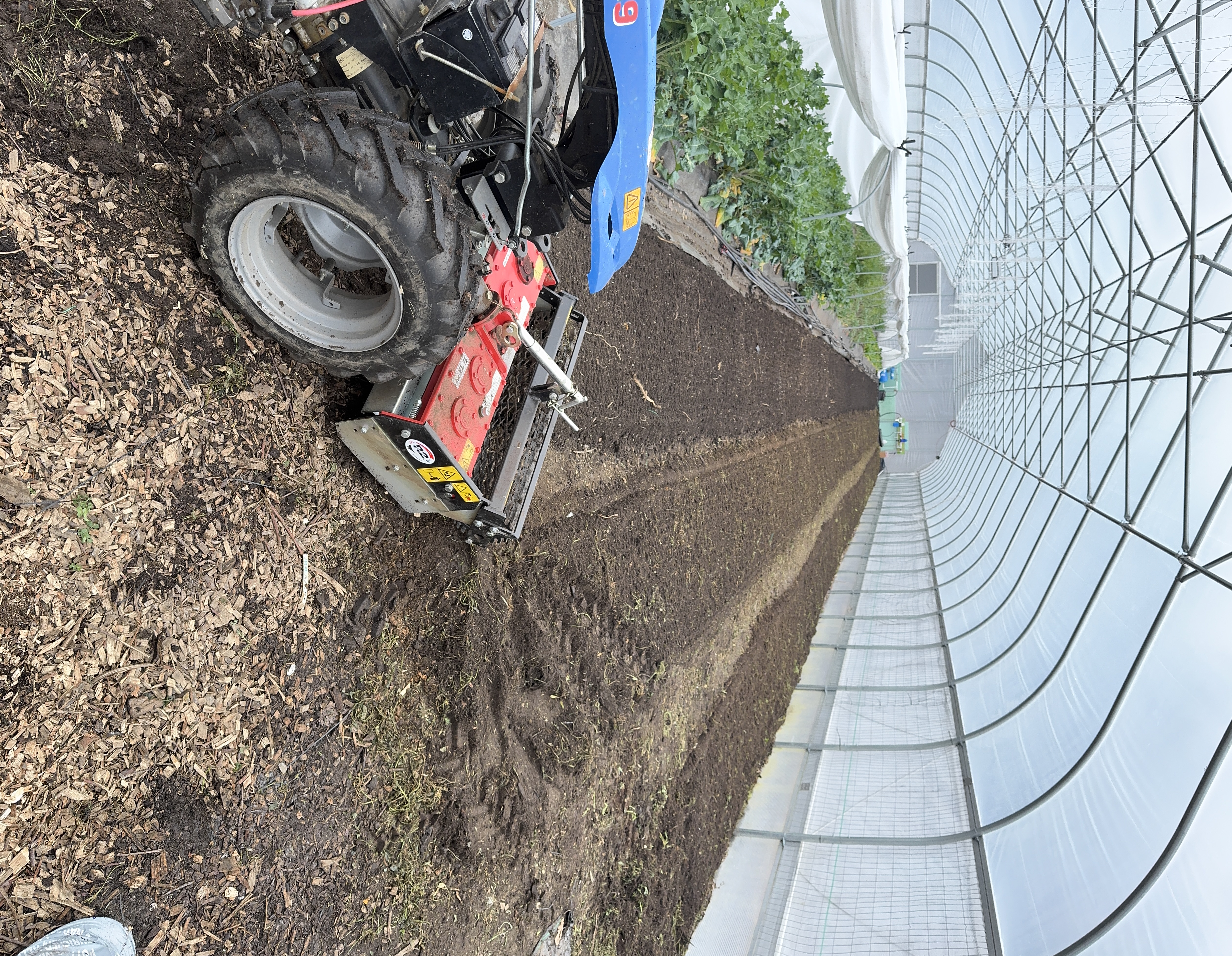 Inside a 30x96 high tunnel — tractor with rotary tiller preparing beds alongside growing crops, Newfields NH